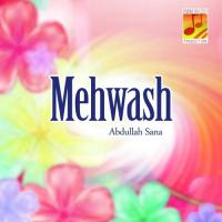 Musalman-e-Naein Sheher Abdullah Sana Song Download Mp3