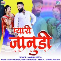 Pyari Janudi Sambhu Meena Song Download Mp3