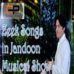 Ze Pa Zeek Afridi Song Download Mp3