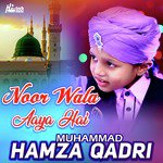 Noor Wala Aaya Hai Muhammad Hamza Qadri Song Download Mp3