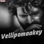 Oosupodu (From "Fidaa") Vedala Hemachandra Song Download Mp3