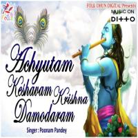 Achyutam Keshauam Krishna Damodaram Poonam Pandey Song Download Mp3