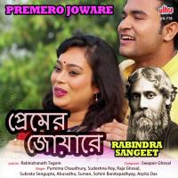 Ki Gabo Ami Ki Sonabo Sohini Bandopadhyay Song Download Mp3