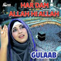 Har Dam Allah Hi Allah Gulaab Song Download Mp3