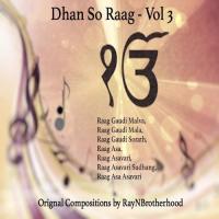 Raag Asa (So Kyon Visare) [feat. Amarjeet Singh & Japneet Kaur] RayNBrotherhood Song Download Mp3