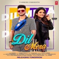 Dil Mera Nawab Song Download Mp3