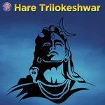 Kalbhairav Ashtakam Vishwajeet Borwankar Song Download Mp3