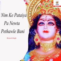 Nim Ke Pataiya Pa Newta Pethawle Bani Brijesh Singh Song Download Mp3