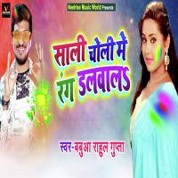 Sali Choli Me Rang Dalwala Babua Rahul Gupta Song Download Mp3