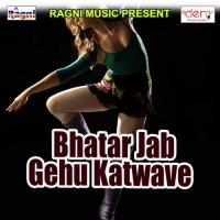 Hai Anarawa Papita Bhail Vinay Bedardi Lal Yadav Song Download Mp3