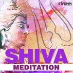 Om Namah Shivay Sanjeev Chimmalgi Song Download Mp3