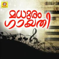 Alarumee P G Noushad,chorus Song Download Mp3