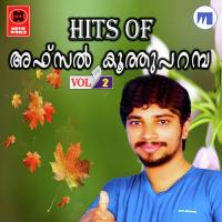 Njan Thannoru Sneham Afsal Koothuparamba Song Download Mp3