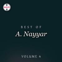 Main Tera Badan A. Nayyar Song Download Mp3