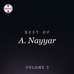 Salam Ay Saya E Rehmat A. Nayyar Song Download Mp3