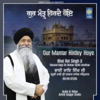 Ram Koe Na Kis Hi Kera Bhai Rai Singh Ji Hazoori Ragi Sri Darbar Sahib Amritsar Song Download Mp3