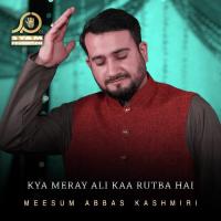 Kya Meray Ali Kaa Rutba Hai Meesum Abbas Kashmiri Song Download Mp3