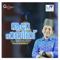 Noore Habeeb Muflih Panakkad Song Download Mp3