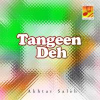 Goun Sheher Singhe Dilen Akhtar Saleh Song Download Mp3