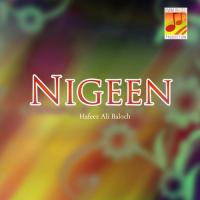 Rang Nodan Zeney Hafeez Ali Baloch Song Download Mp3