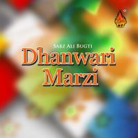 Dhanwari Marzi Sabz Ali Bugti Song Download Mp3