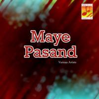 Tayi Aa Hage Qarar Sabir Ali Baloch Song Download Mp3