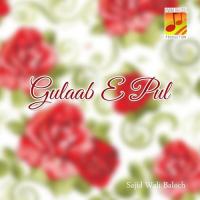 Parcha Mahraan Sajid Wali Baloch Song Download Mp3