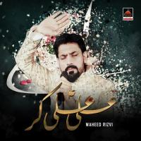 Ali Ali Kar Waheed Rizvi Song Download Mp3