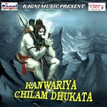 Saiya Driver Gaanja Pike Sutal Ba Bullet Raja Song Download Mp3