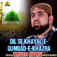 Dil Se Khayal-e-Gumbad-e-Khazra Alhaaj Waseem Abbasi Naqshbandi Song Download Mp3