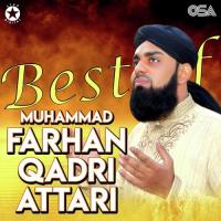 Maula Ali Ali Muhammad Farhan Qadri Attari Song Download Mp3