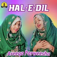 Hal-e-Dil Areeqa Parweesha Song Download Mp3