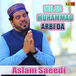 Meri Joli Main Rehty Hain Aslam Saeedi Song Download Mp3