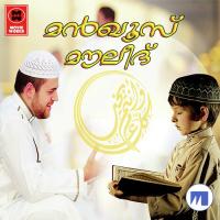 Sala Thuva Naseeb Pathiriyal Song Download Mp3