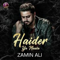 Haider Ya Maula Zamin Ali Song Download Mp3