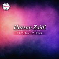 Pak Maiz Par Hassan Zaidi Song Download Mp3