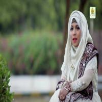 Durood-e-Ahle Bait Anum Ferozi Song Download Mp3