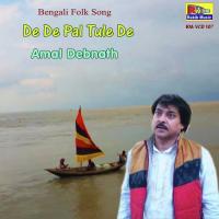 De De Pal Tule De Amal Debnath Song Download Mp3