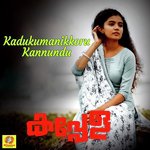 Kadukumanikkoru Kannundu (From "Kappela") Sithara Krishnakumar Song Download Mp3