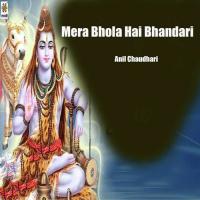 Mera Bhola Hai Bhandari Anil Chaudhari Song Download Mp3