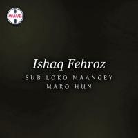 Main Sabar De Naal Aas Ishaq Fehroz Song Download Mp3