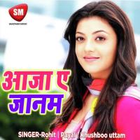 Mile Khatir Dil Bekrar Kahe Hola Rohit Song Download Mp3