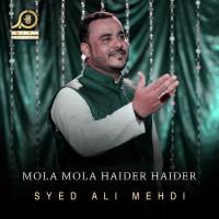 Mola Mola Haider Haider Syed Ali Mehdi Song Download Mp3