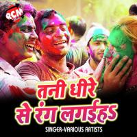 Holiye Me Seel Tutal Bhuar Lal Yadav Song Download Mp3