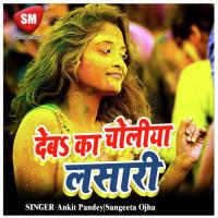 Deba Ka Choliya Lasari Sudhir Surila Song Download Mp3