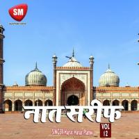 Rukh Se Jab Unke Zaya Hajrat Hunar Plamwi Song Download Mp3