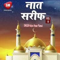 Nikli Hai Sunni Ki Reyli Hajrat Hunar Plamwi Song Download Mp3