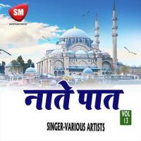 Ji Sane Mustfa Hai Ashraf Jamali Song Download Mp3