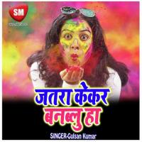 Sasura Se Nik Holi Hola Netesh Pujari Song Download Mp3