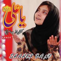 Ya Ali Kitna Pyara Hai Naam Apka Shaher Bano Song Download Mp3